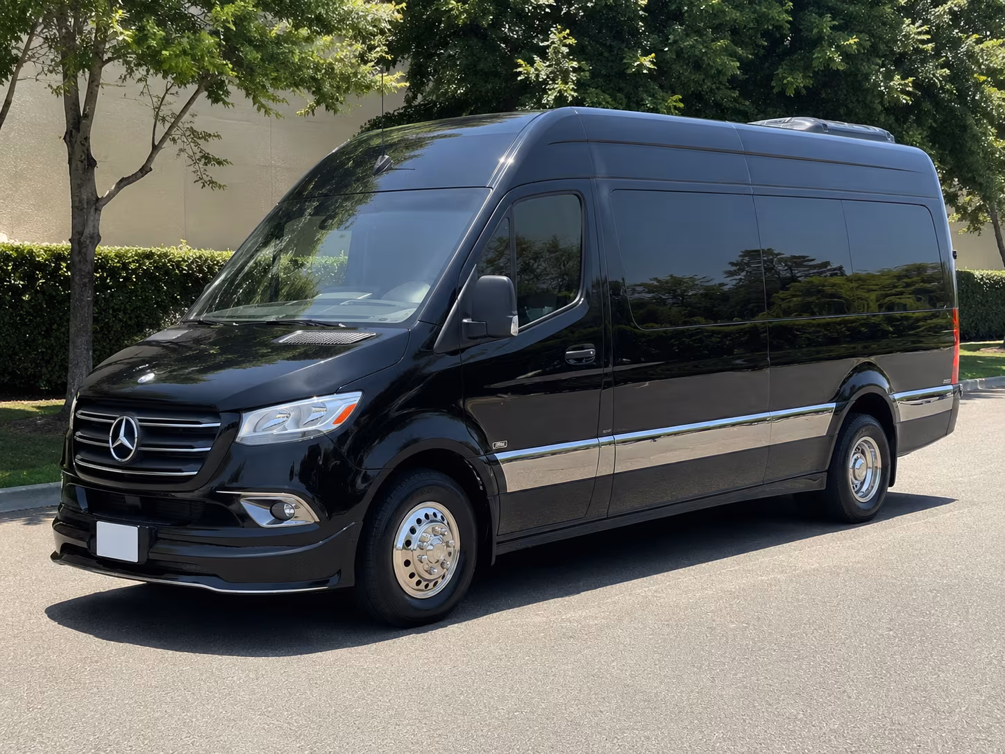 Sprinter Van