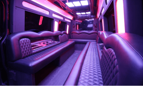 South Bend 14 Passenger Sprinter Bus Interior