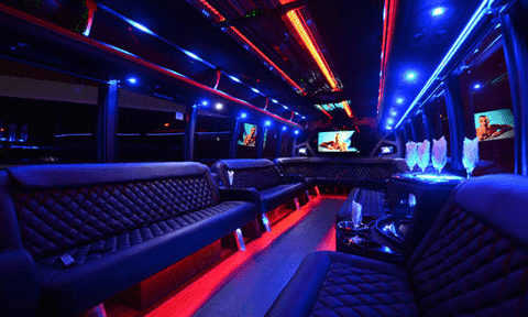Toledo 30 Passenger Party Bus Black Interior